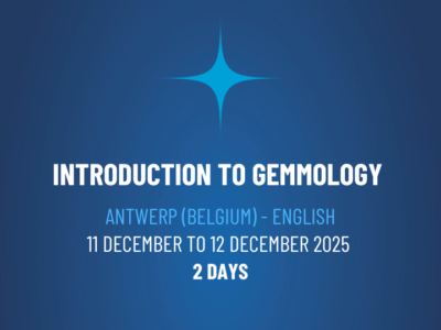 Introduction to Gemmology Workshop – IGE112501