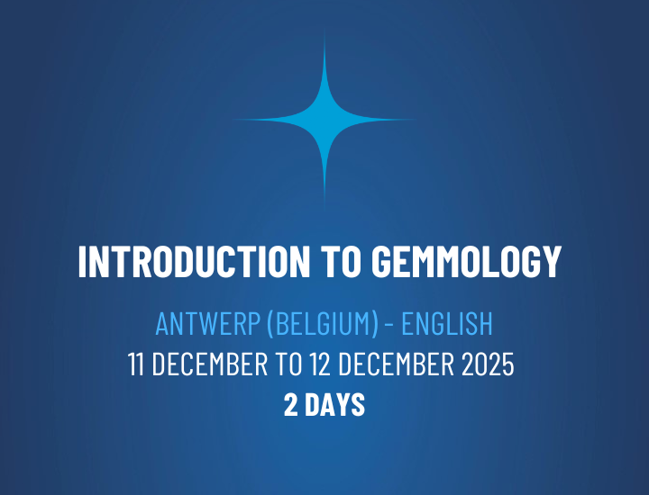 Introduction to Gemmology Workshop – IGE112501