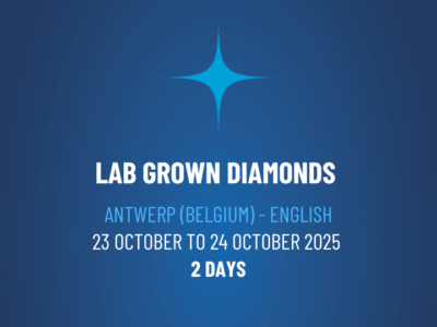 Lab Grown Diamonds Workshop – WSLGE112501