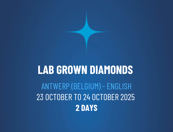 Lab Grown Diamonds Workshop – WSLGE112501