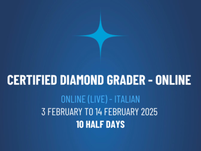 Certified Diamond Grader – Online Theory Module – CDGOLI3502501