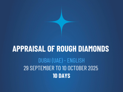 Appraisal of Rough Diamonds – ARDE2412502
