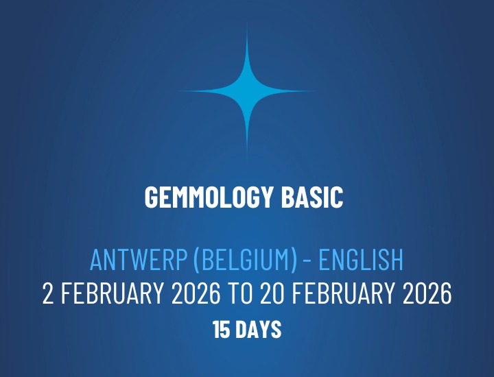 WhatsApp Image 2025-11-07 at 11.46.20