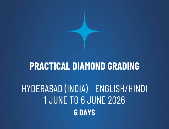 WhatsApp Image 2026-01-02 at 13.49.52 WhatsApp Image 2026-01-02 at 13.49.52