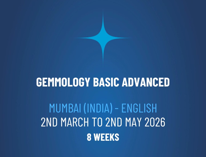 WhatsApp Image 2026-01-20 at 11.56.05