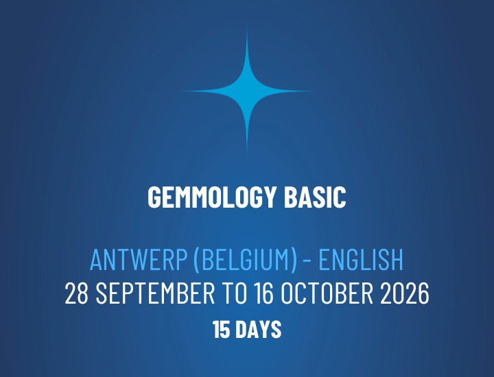 WhatsApp Image 2026-02-03 at 16.12.39