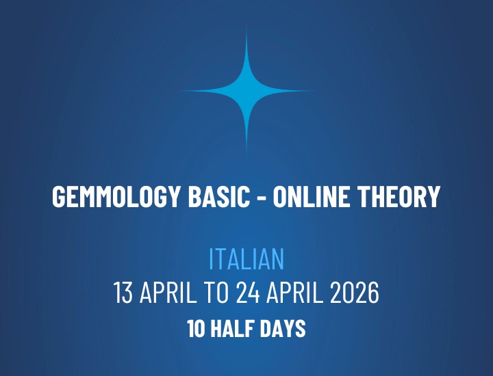 WhatsApp Image 2026-02-10 at 15.49.43 (1)