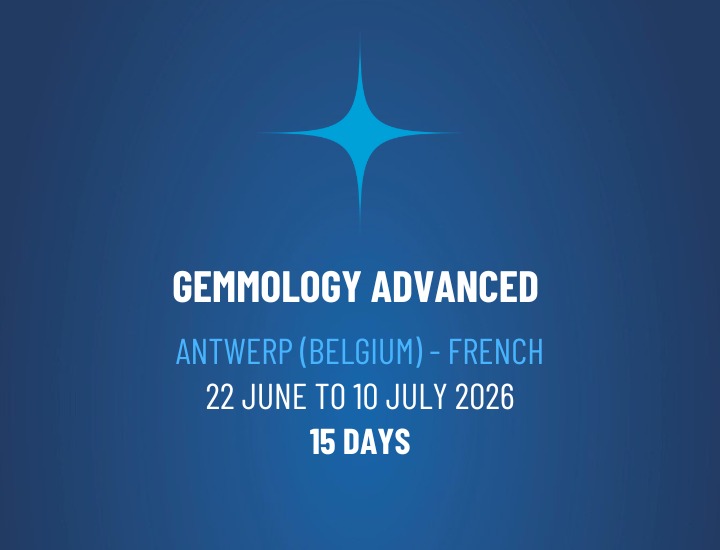 WhatsApp Image 2026-02-17 at 11.17.10