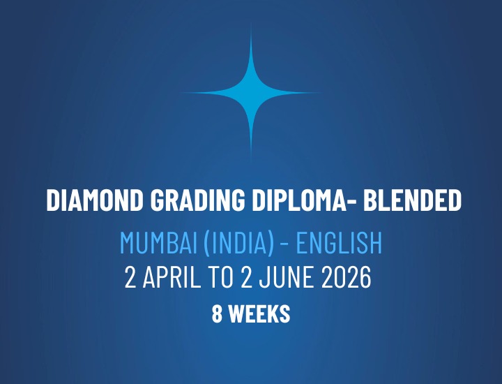 WhatsApp Image 2026-02-18 at 12.11.12 WhatsApp Image 2026-02-18 at 12.11.12