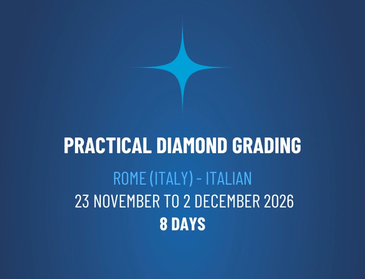 WhatsApp Image 2026-02-18 at 14.22.59