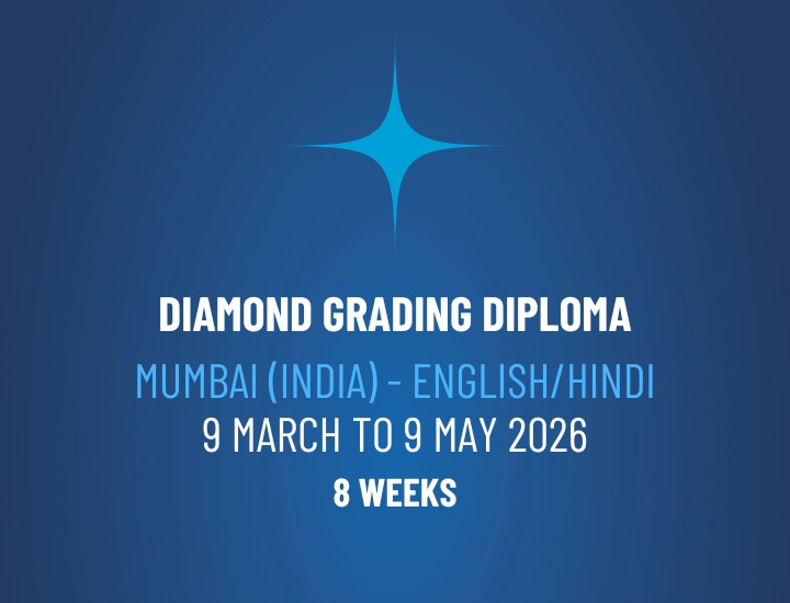 WhatsApp Image 2026-02-19 at 10.05.24 WhatsApp Image 2026-02-19 at 10.05.24