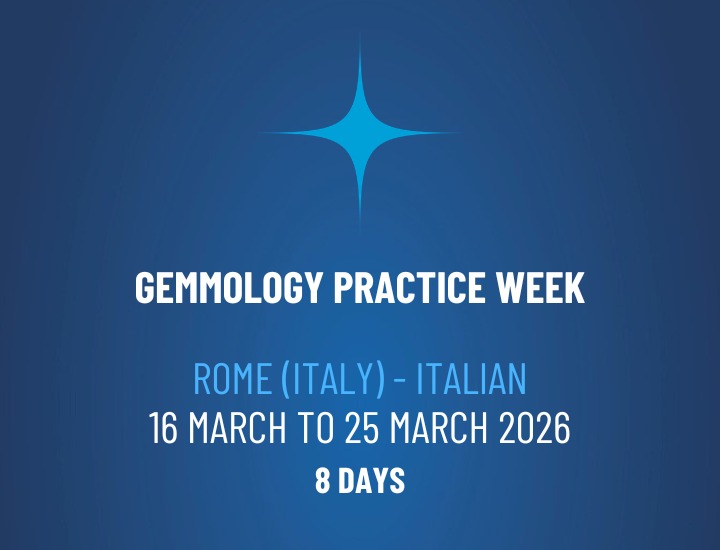 WhatsApp Image 2026-02-20 at 08.32.39 WhatsApp Image 2026-02-20 at 08.32.39