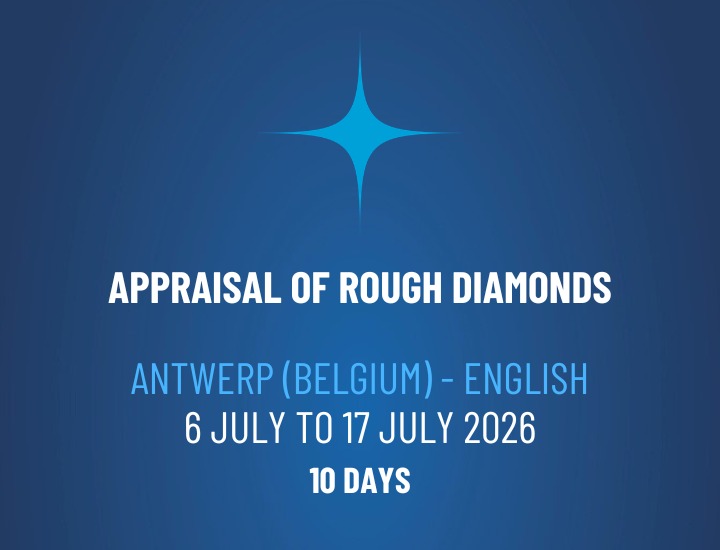 WhatsApp Image 2026-02-20 at 11.16.58