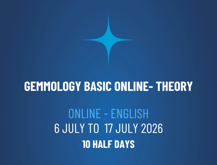 WhatsApp Image 2026-02-20 at 16.07.34