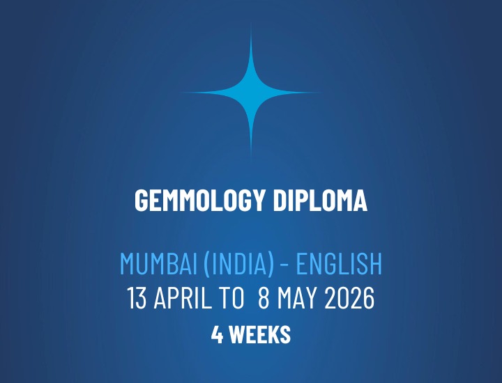 WhatsApp Image 2026-02-24 at 10.33.24