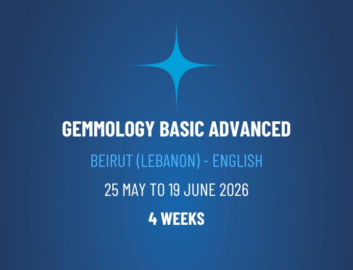 WhatsApp Image 2026-03-02 at 16.09.30