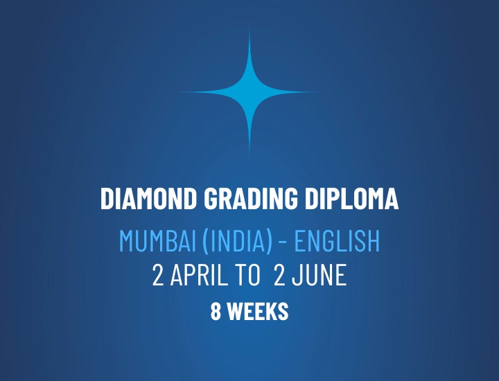 WhatsApp Image 2026-03-12 at 13.04.01