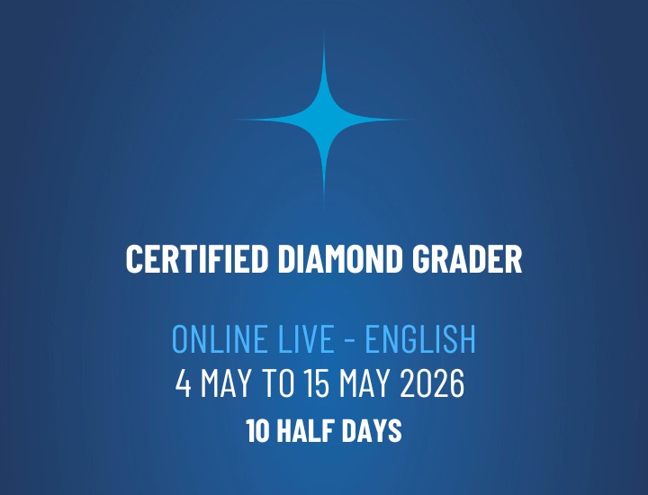 WhatsApp Image 2026-03-30 at 15.51.09