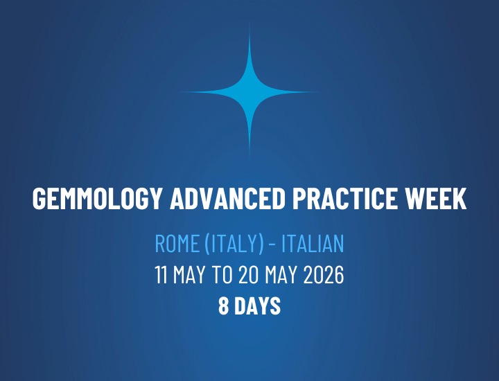 WhatsApp Image 2026-03-30 at 16.22.18 WhatsApp Image 2026-03-30 at 16.22.18