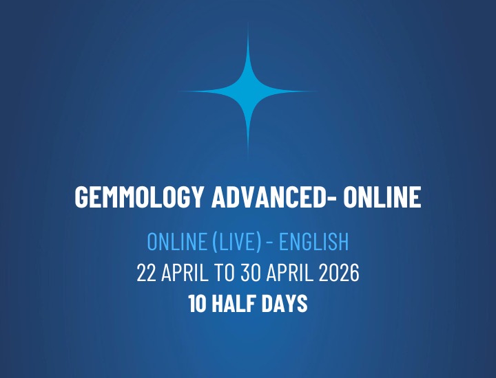 WhatsApp Image 2026-03-30 at 16.25.48