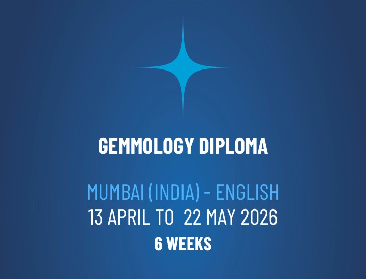 WhatsApp Image 2026-04-03 at 11.43.33